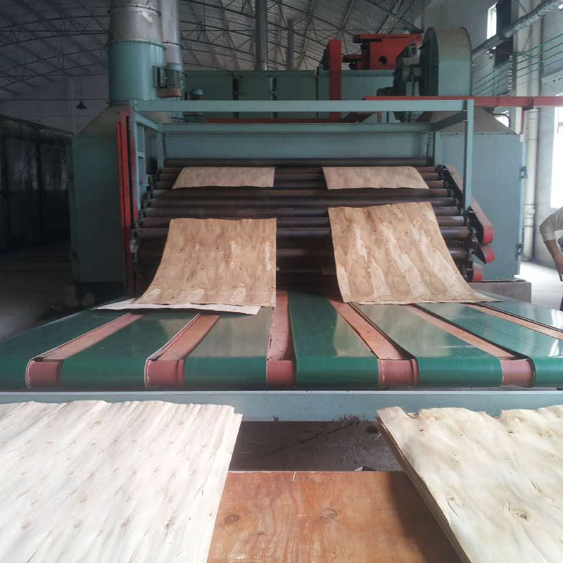 BG1333 Three Deck Roller Veneer Dryer3