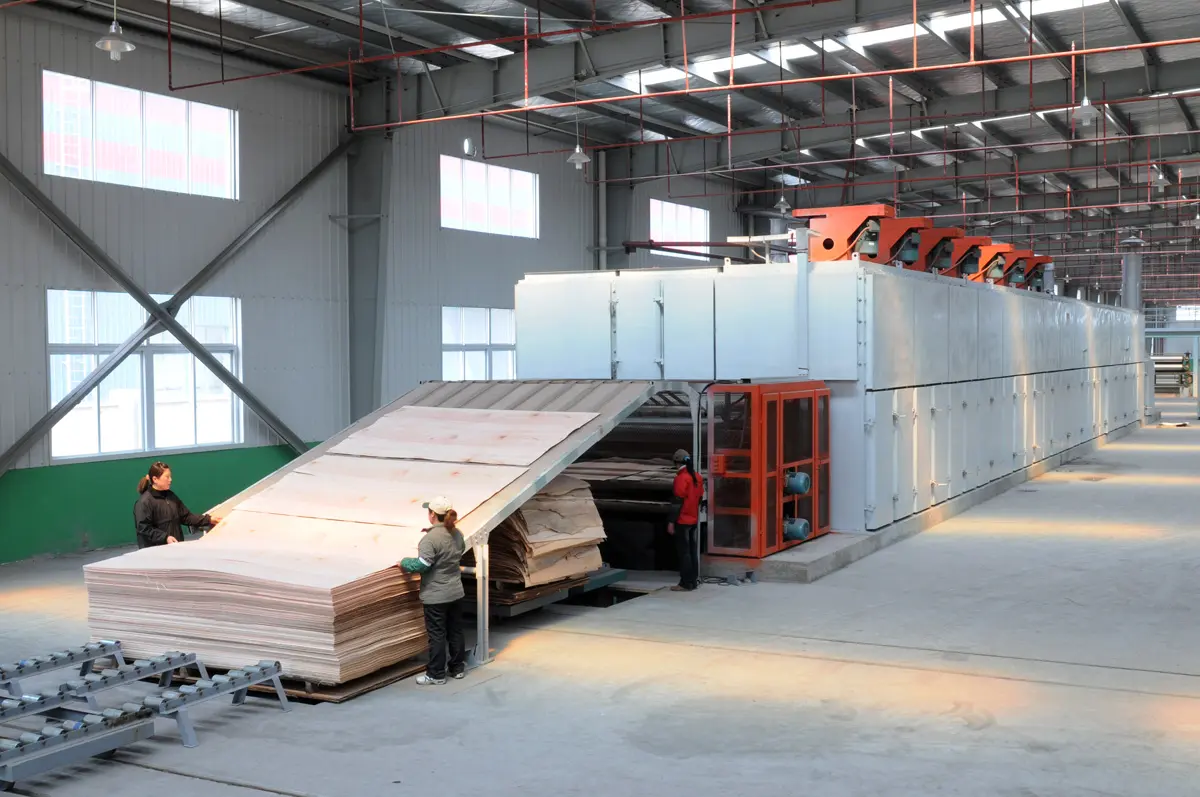 How Veneer Drying and Glue Spreading Work Together in Plywood Production